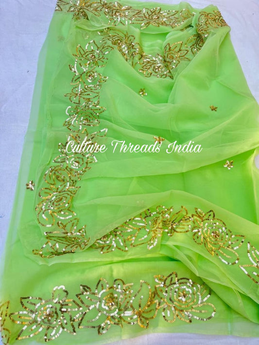 Neon Citrus Rose Edged Saree