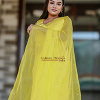 Sunshine Radiance Scalloped Border Saree
