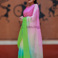 Dreamy Pallete Saree