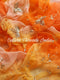Sunset Glow Ombre Saree