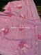 Pink Peony Sequins Saree