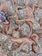 Soft Sand Pittan Border Saree