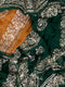 Forest Green Pittan Border Saree
