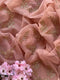 Creamy Nude Cut Daana Saree
